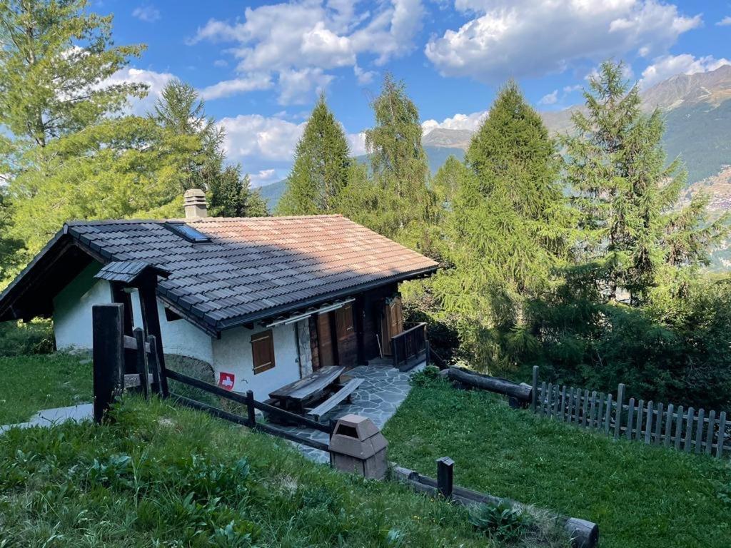 Typique Confort Avec En Dessous Chalet